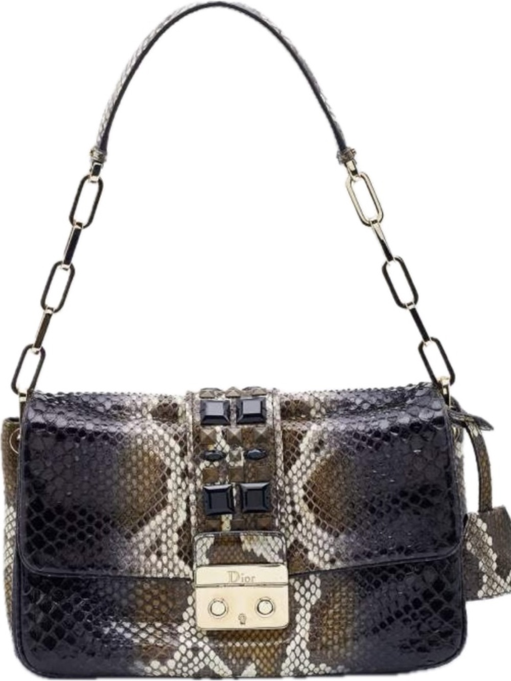 Dior Black and Brown Python Shoulder Bag with Gold Hardware